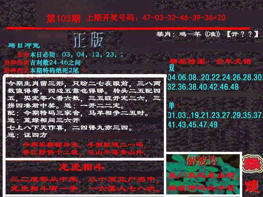 103期新港内幕[图]